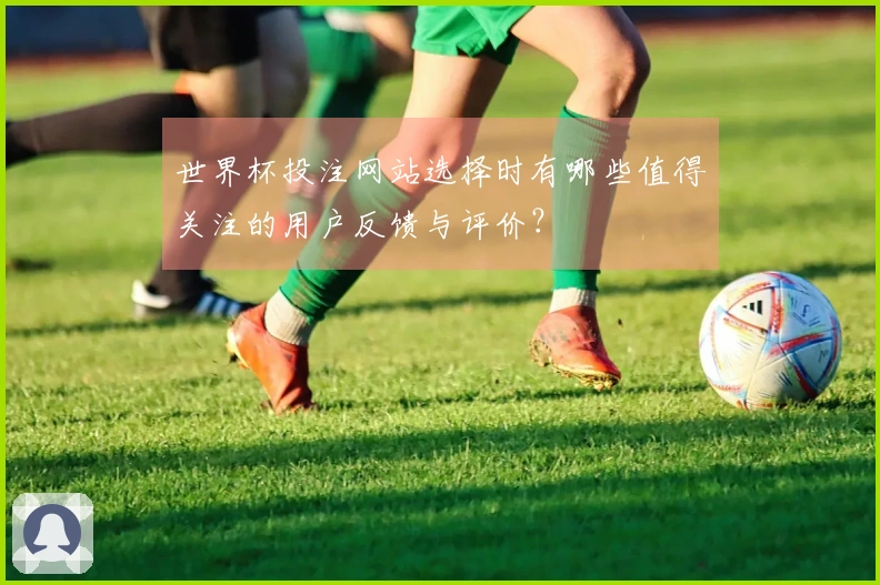 世界杯投注网站选择时有哪些值得关注的用户反馈与评价？